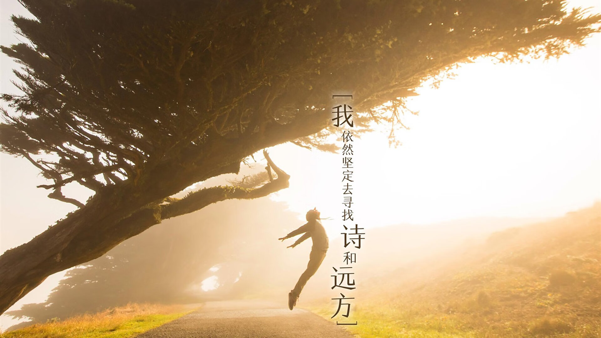 开云官方网页登录-比利亚雷亚尔力克莱加内斯，稳健发挥，比利亚雷亚尔 莱斯特城