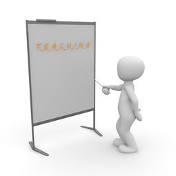 开云官方网站-高校体育教师信息化教学实践，体育教师信息技术应用能力