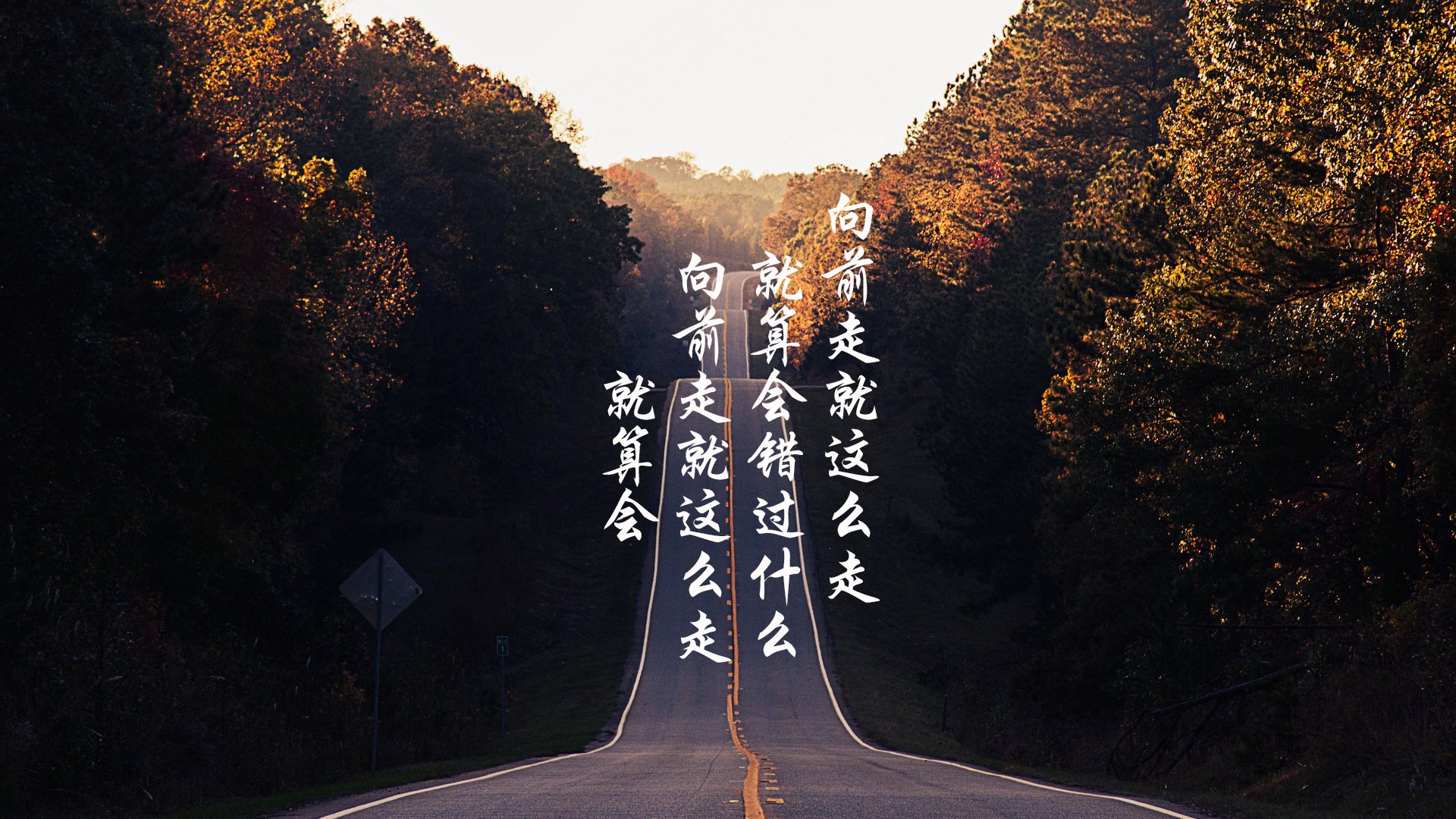 世界杯赢球瞬间:喜悦中的泪水与欢呼,世界杯赢家