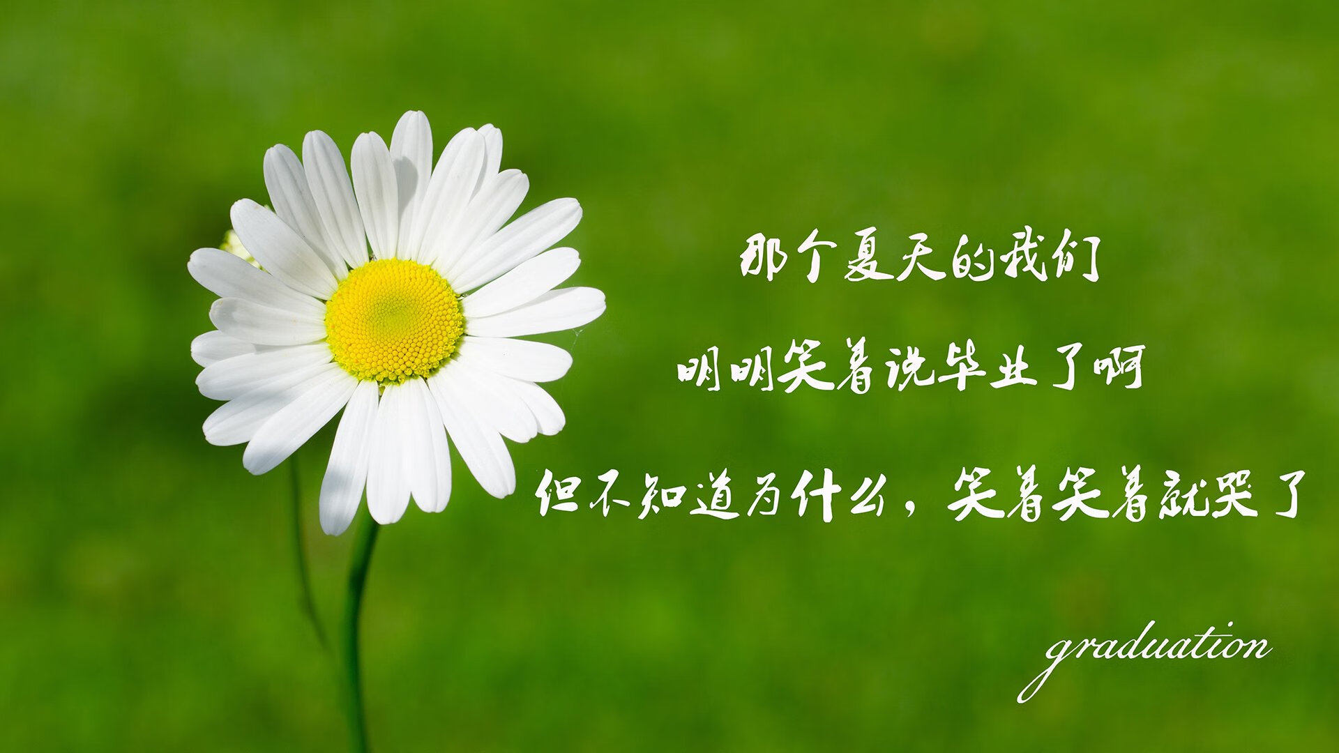 开云网页版-线上足球运动社交平台用户规模突破千万,推动全民运动,线上足球比赛什么app能买