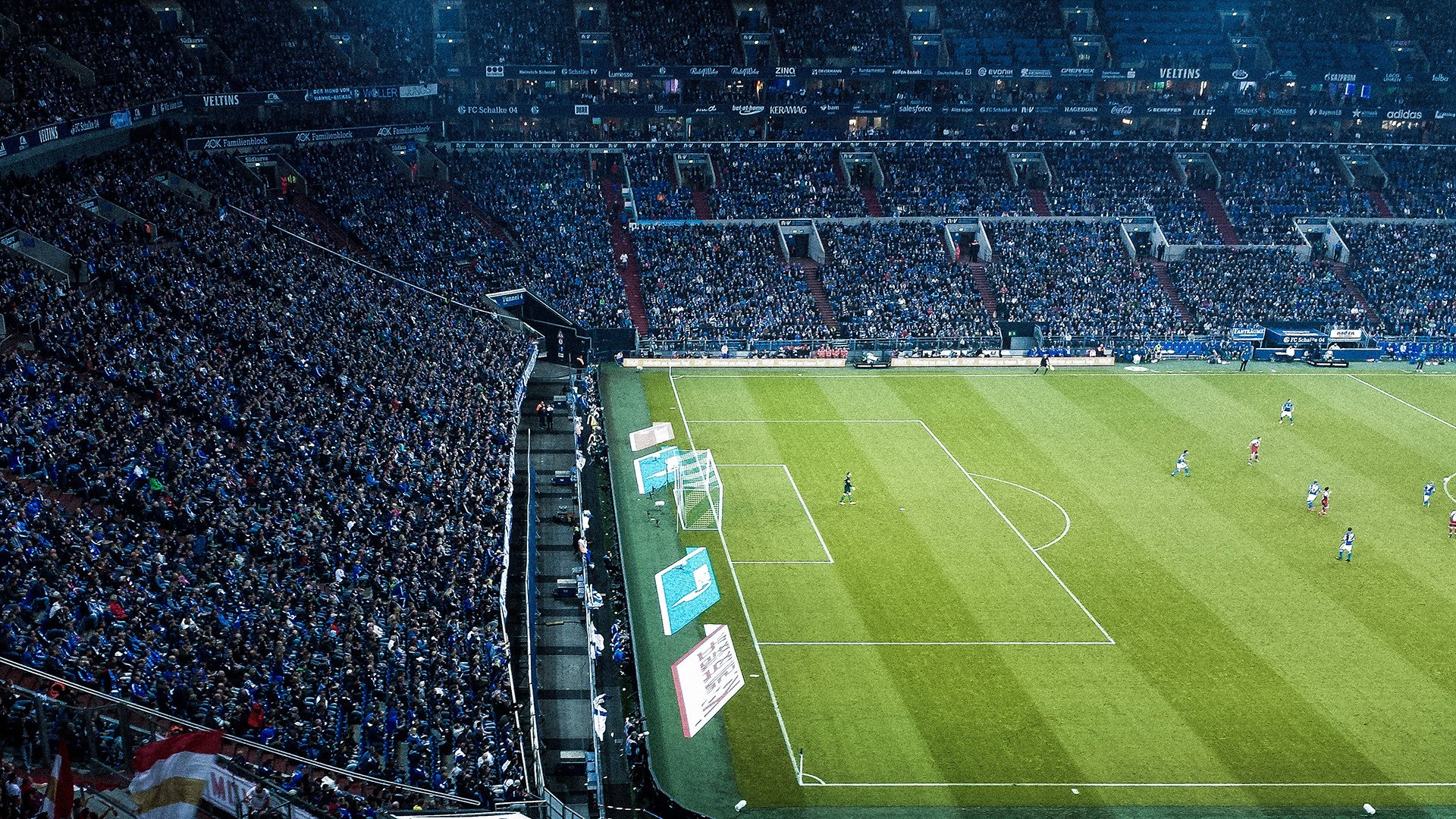 青训“专业化+国际化”战略持续深化，行业合作不断扩大